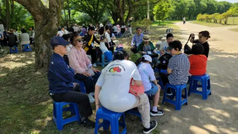 사진 41
