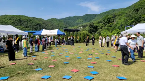 사진 81