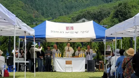 사진 50