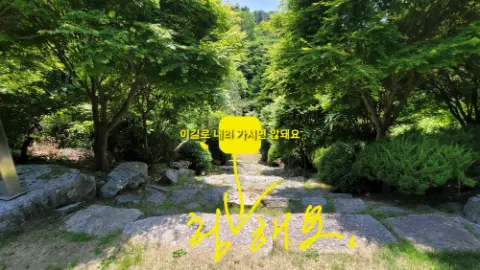 사진 139
