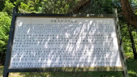 사진 135