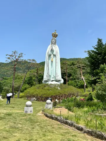 사진 6