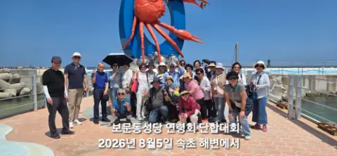 사진 5