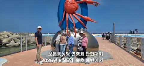 사진 6