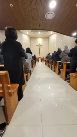 사진 12