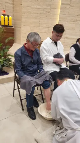 사진 5