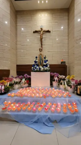 사진 5