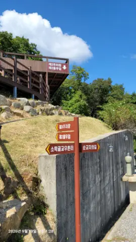 사진 5