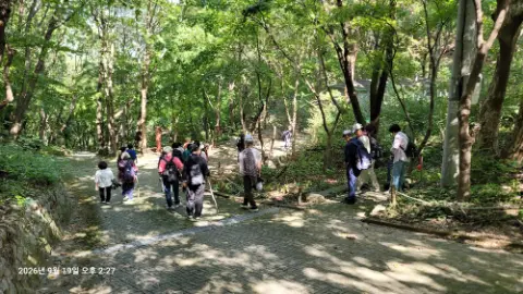 사진 15